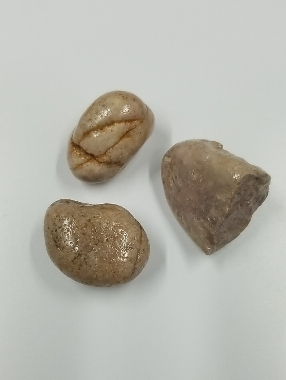 Varnished Rock Specimens - Tan Lot